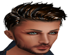 Dark Brown_male