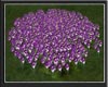 Purple Particle Flowers2