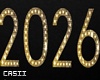 2026 Sign | Pose