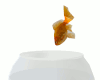 ~R~ Anim Goldfish