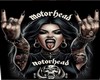 Box Motor Head