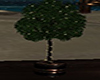Light Up Potted Tree