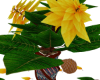Yellow Poinsettia