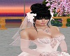 Pink Bridal Veil/Flowers