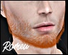 Romeu Ginger Beard 2023