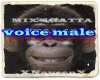 voice male