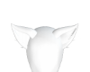 cat ears - white