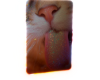 🅂 Glitter Cat