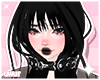♡ hoi black + collar