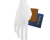 Female Blue Passport