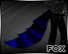 [FOX] Blue Black Tail