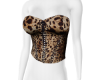 V | SkimXDG Corset