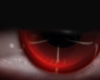 Eye Red