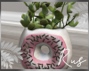 Rus Donut Planter