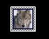 wolf stamp