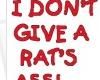I Don't Give A Rats 