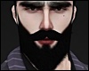 Lord Beard Black MH