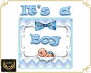 NJ] Gender Reveal Boy
