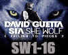 SHE WOLF- David Guetter