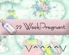 22 Weeks Pregnant (P)