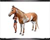 ~S~ Riding Horse