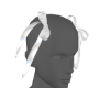 Holo/White Bows