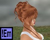 !Em Copper Updo Jen