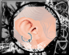 CONCH-R