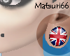 [M66] British Plug