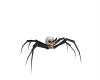 (SS) Skull Spider Chair