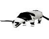 cow animated