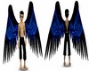 black n blue wings