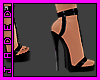 ~Zoot-heels