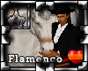!P Flamenco Bundle