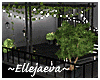 Romantic Balcony Decorat