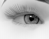Grey Heart eyes