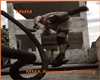 🎀 MMA Aggressive