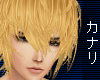 xK DR: Shizuo Hair