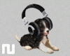 Puppy DJ + Radio