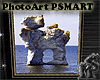 PhotoArt PSMART Rauk