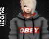 /D/Obey Hoodiegrey