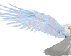 pale blue fire wings