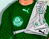 Palmeiras FC Shirt'