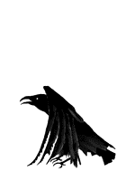 Black Raven Right