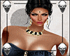 L┊ RL* VERTI -c-