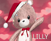 xmas teddy