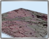 Chic Enchantment Rug