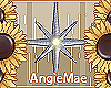 AM* Maddy Stars Hand