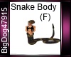 [BD] Snake Body (F)
