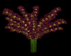 Chrysanthenum bush